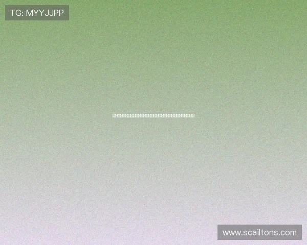 乐鱼体育注册平台优化世界杯报道页面提升用户浏览体验与信息获取效率
